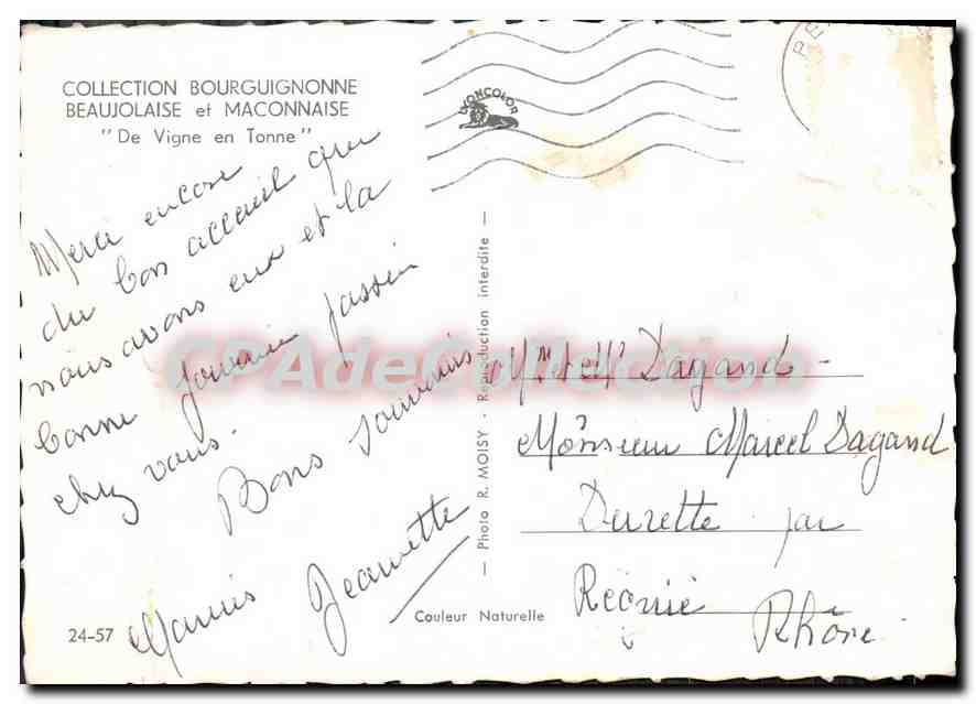 CPM Collection Bourguignonne Beaujolaise Et Maconnaise De Vigne En Tonne — Verso