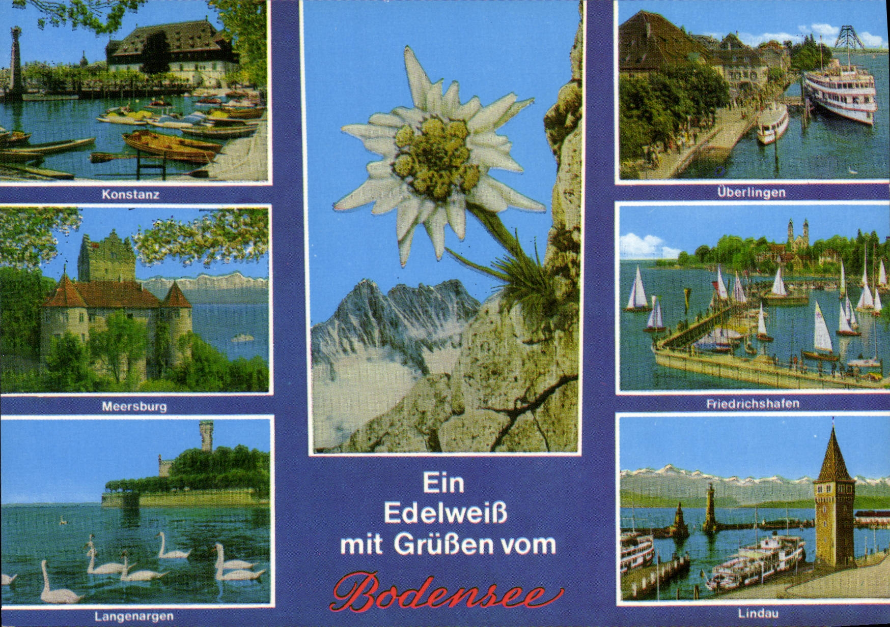 Bodensee — Un Edelweiß avec salutations — Verlag Schöning & Co + Gebrüder Schmidt, Lübeck