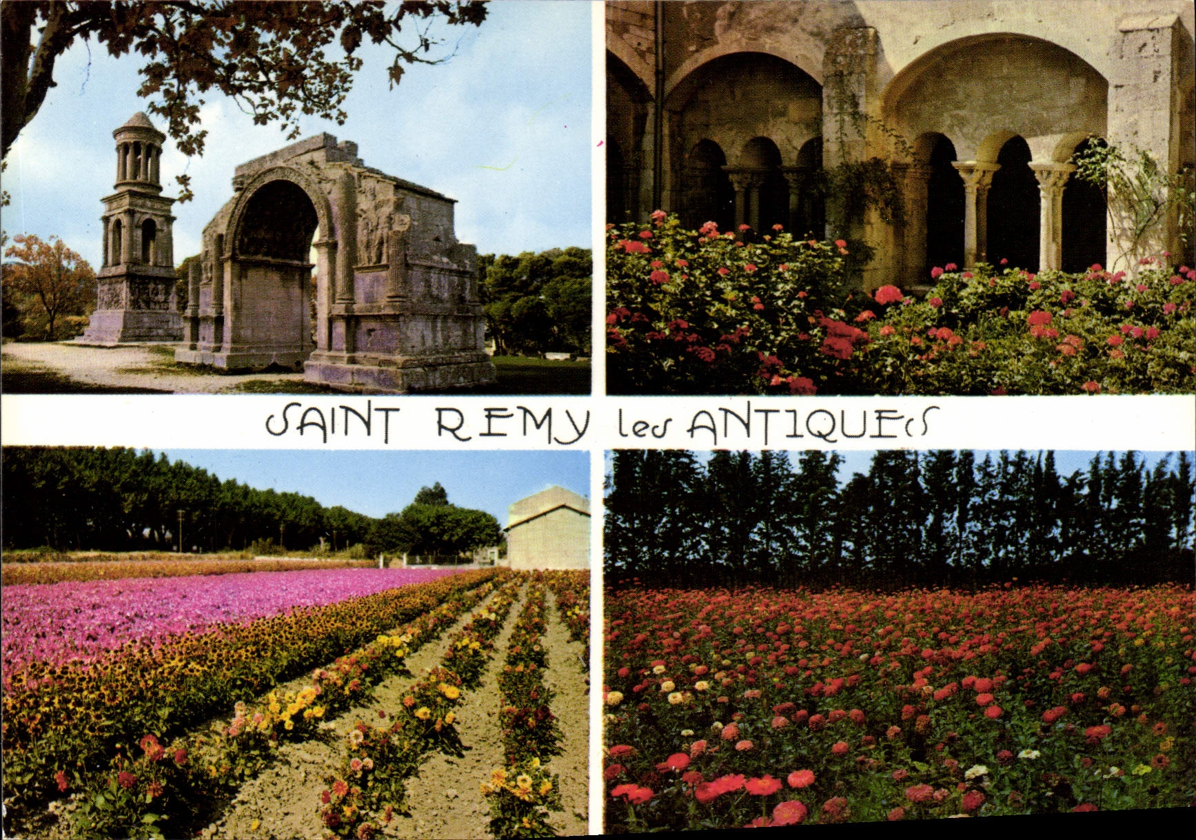 Saint-Rémy-les-Antiques — Antiques et Cloître Saint-Paul — Éditions 'SL' n°10.340 - Anverso