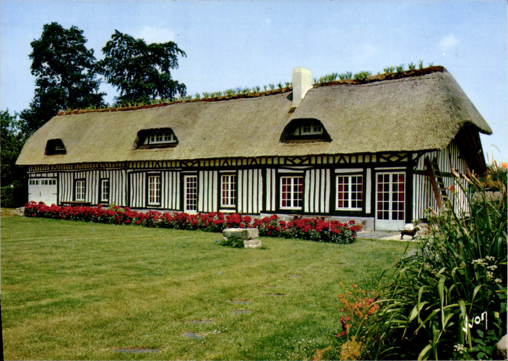 CPM La Luxuriante Normandie Une Chaumiere