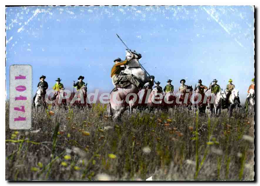 Gardians — Camargue (B.-du-Rh.) — Éditions S.L. Lyon - Anverso