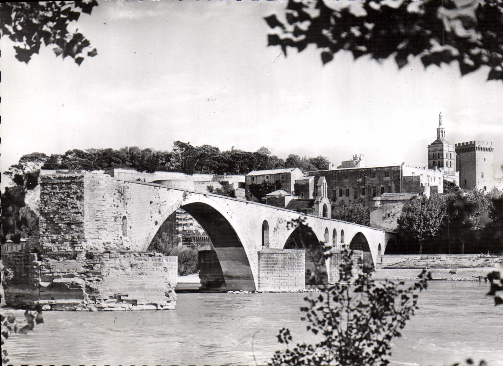 CPM Avignon Le Pont Saint Benezet Sur le Rhone