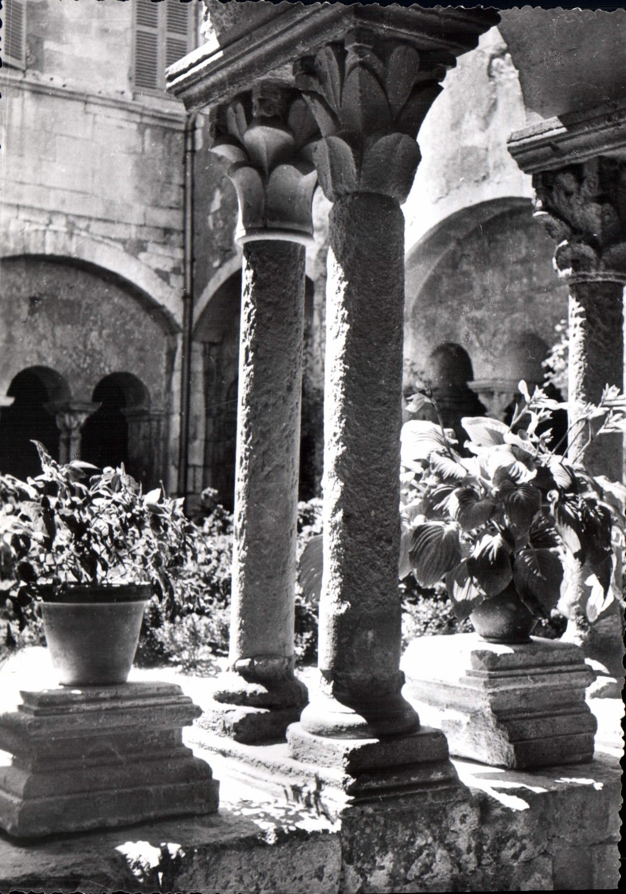 Saint-Rémy-de-Provence — Le Cloître Saint-Paul de Mausolé — éditeur J. Cellard