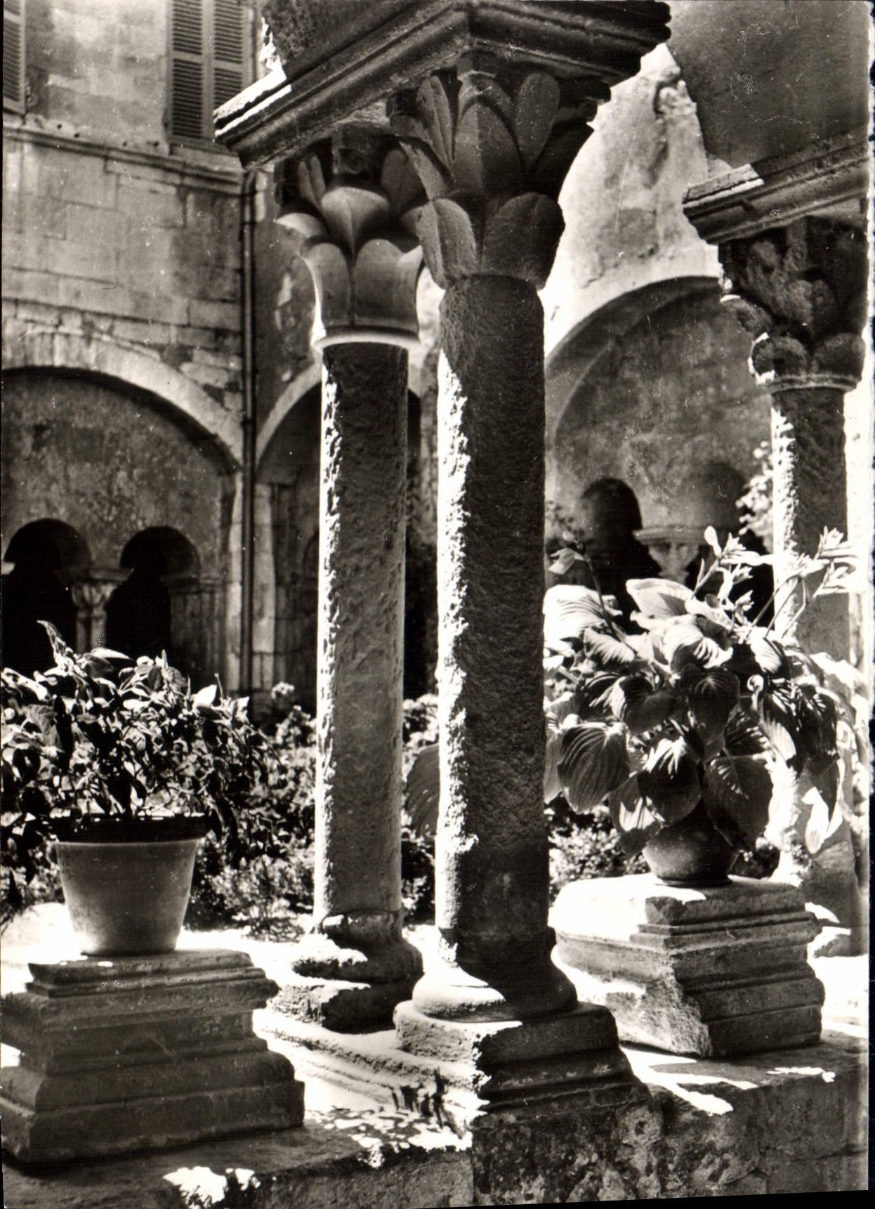 Le Cloître Saint Paul de Mausole — Saint Remy de Provence — Éditions J. Cellard