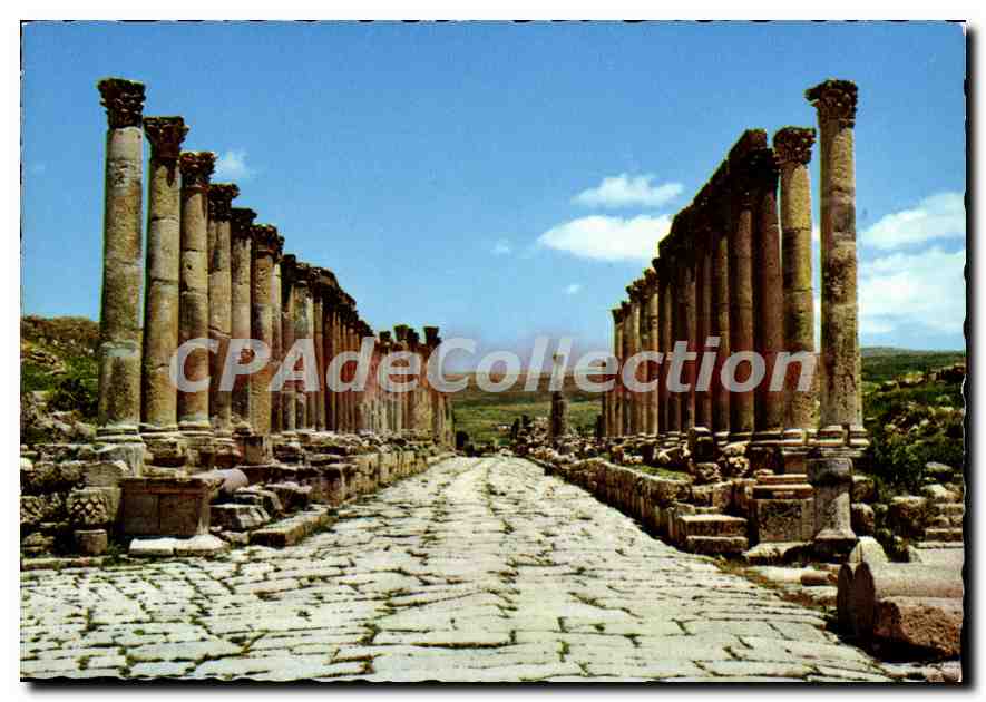 CPM Jerash The Way Of The Columms