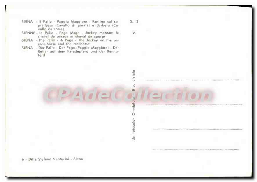 Sienne - Le Palio - Page Mage - Jockey montant le cheval de parade et cheval de course — Reverso