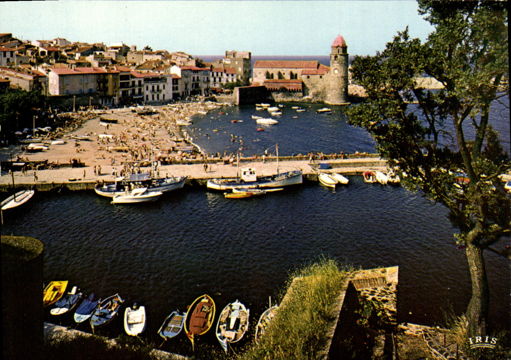 CPSM Collioure L'Eglise La Plage Et Le Port