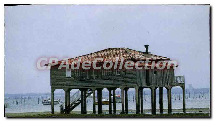Maison sur pilotis — Bassin d'Arcachon — IMAGES DE FRANCE