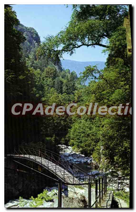 CPSM Allevard Les Bains Promenade du Bout du Monde