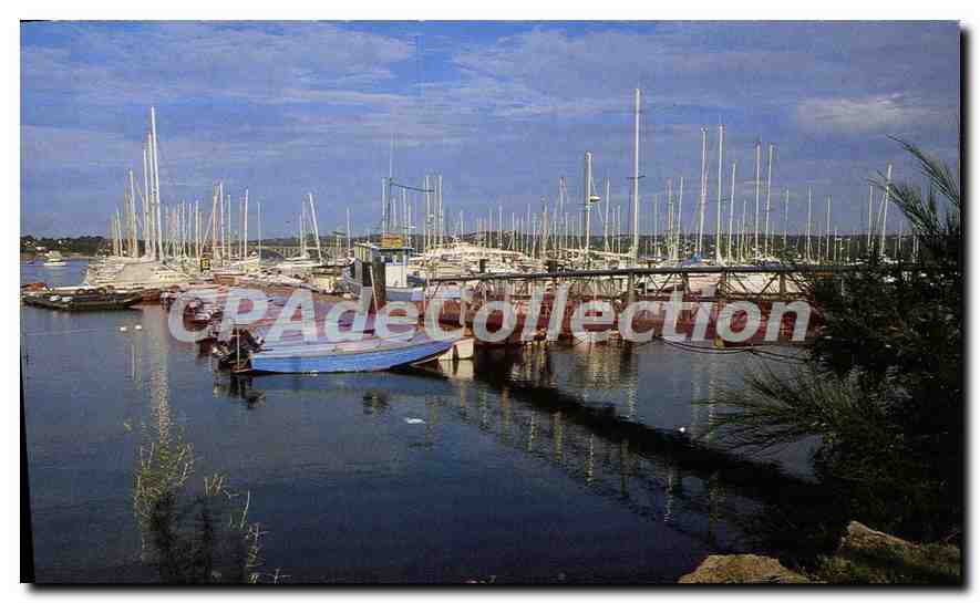 CPSM Brest Le Port de Ple sanne du Moulin Blanc