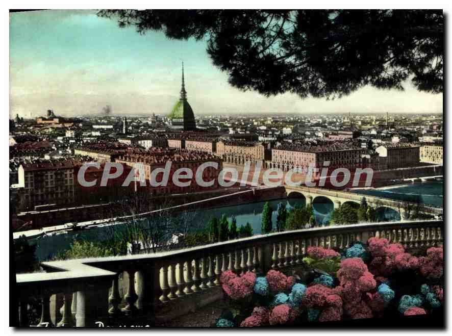 Torino — Panorama — Éd. G. Cambursano, n°40 - Recto