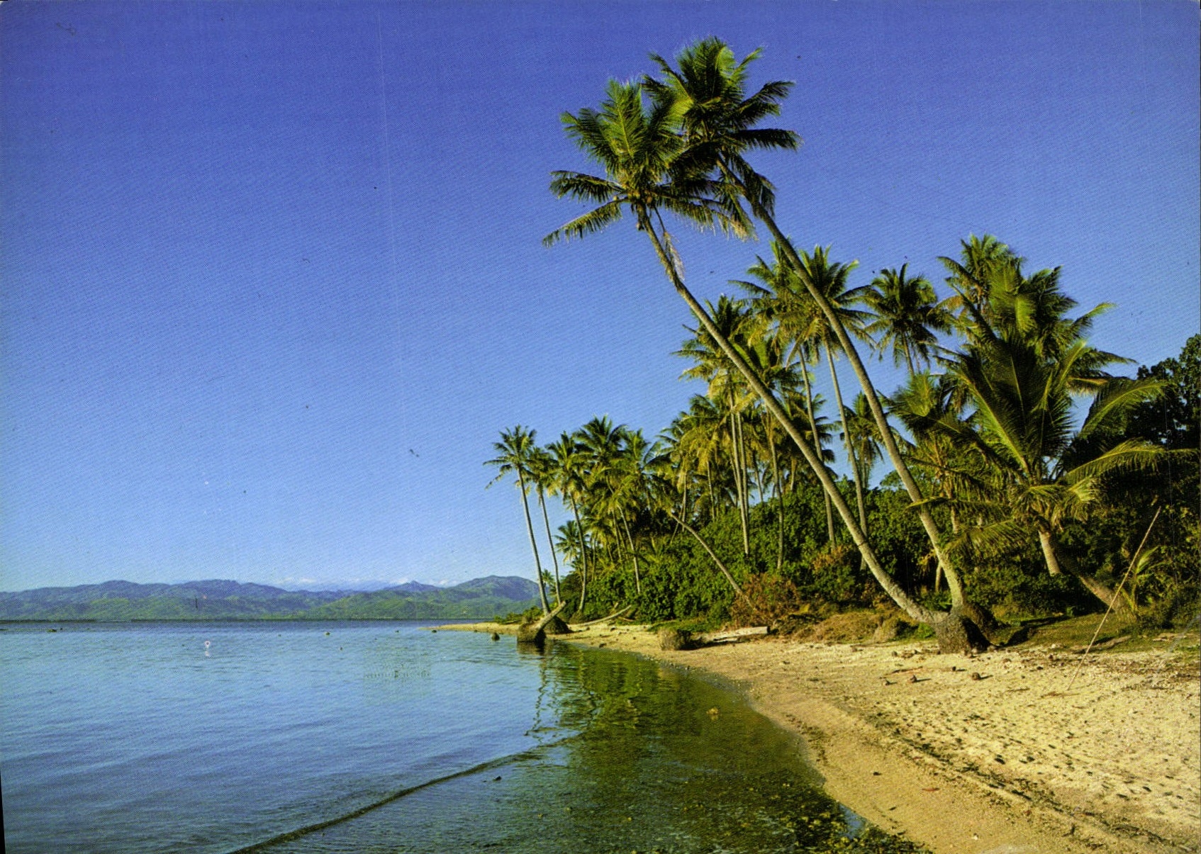 CPSM Rivage Du Nord Caledonien North Caledonian Beach