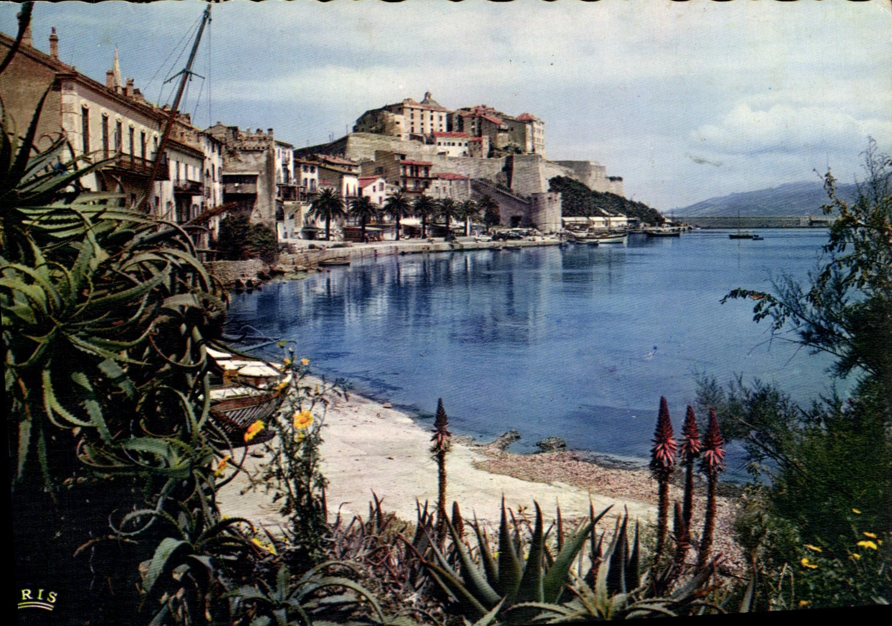 CPSM Dans La Miroir D'Un Golfe Aux Eaux Calmes Calvi