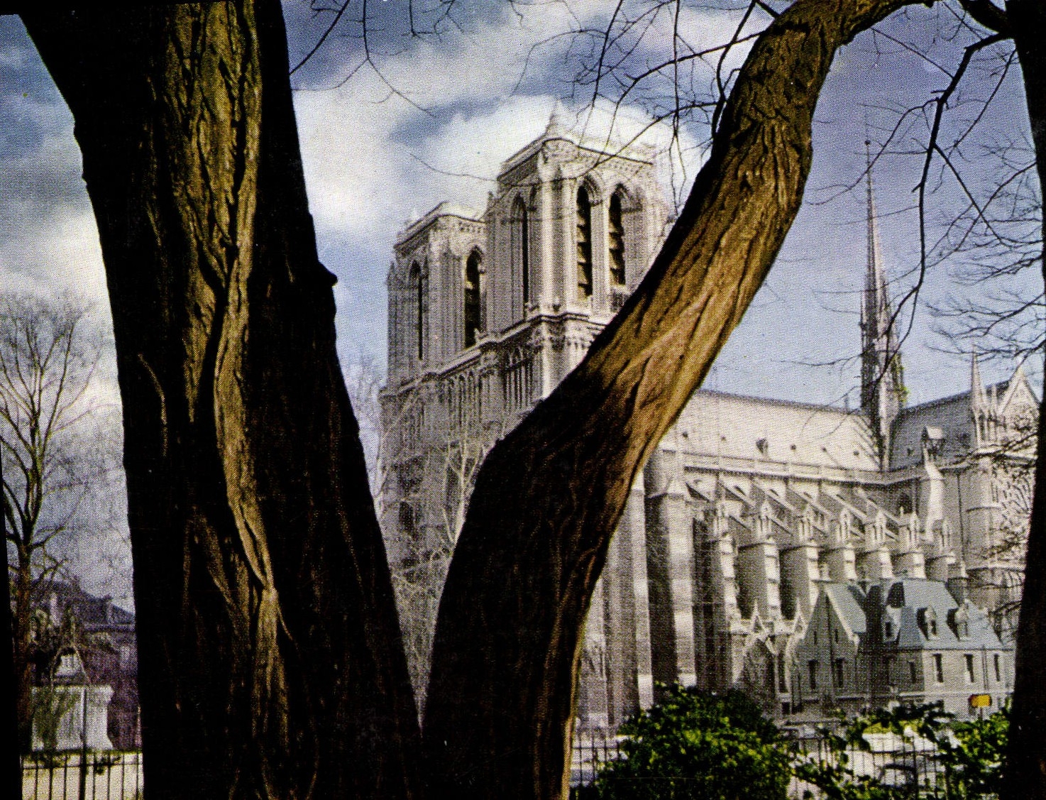 Notre-Dame de Paris — vue encadrée par des arbres — Éditions Holmes - Anverso