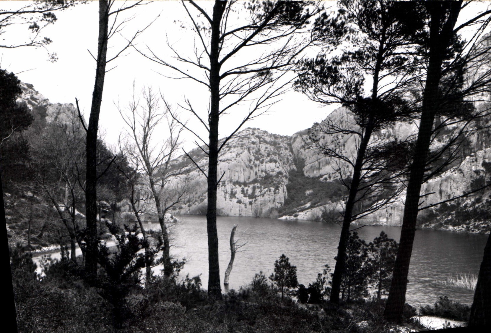 Lac de Saint-Remy — vue enneigée — CPAdeCollection n°63229 - Anverso