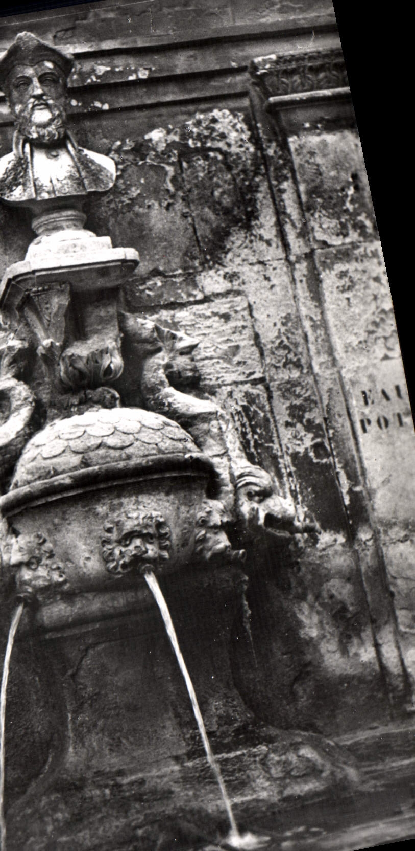 Fontaine Nostradamus — Saint Remy de Provence — Les Éditions de l'Économie