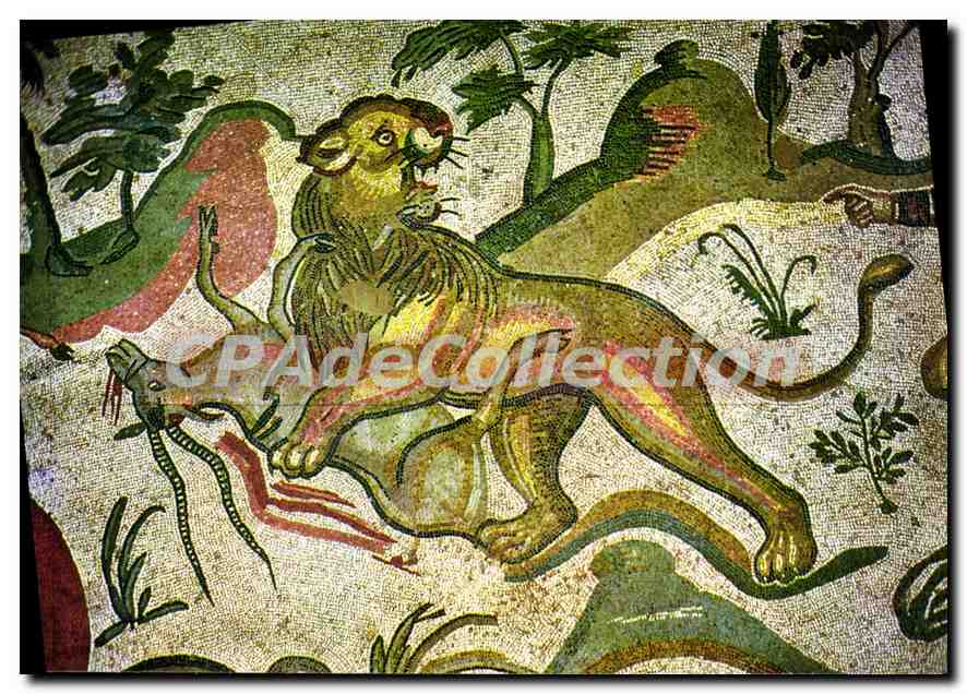 CPSM Piazza Armerina Mosaial Mosaigues