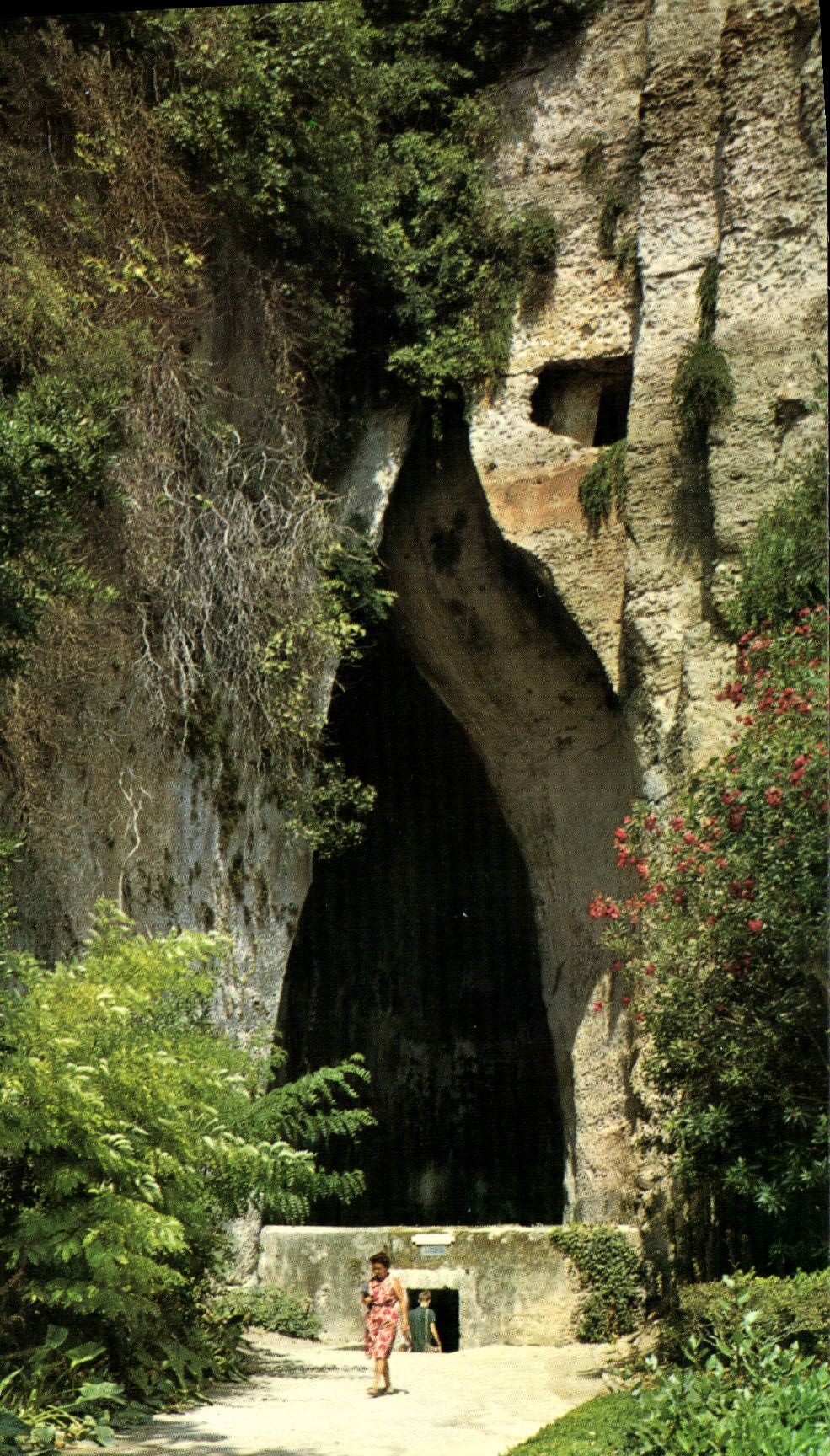 CPSM Siracusa Orecchio Di Dionisio