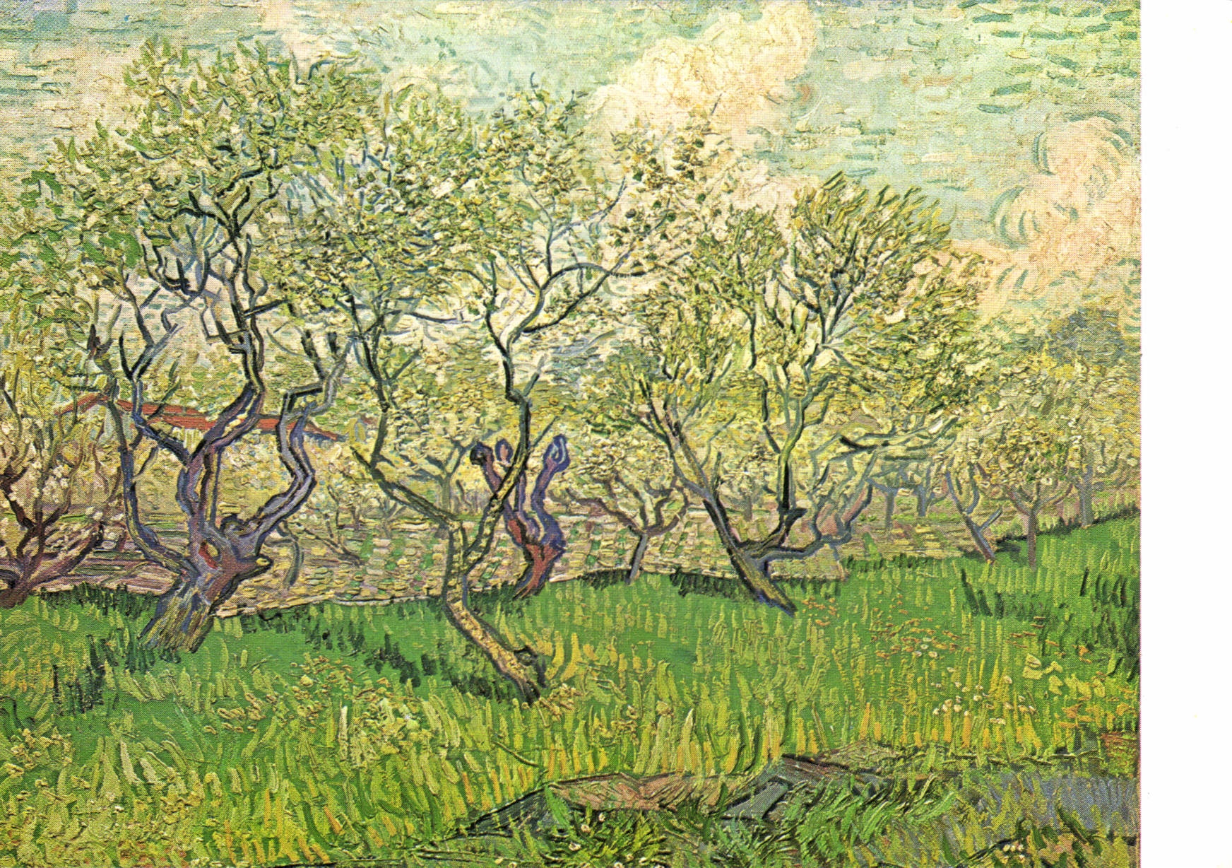 Orchard in Bloom — Saint-Rémy 1889 — van Gogh Museum Amsterdam 1973