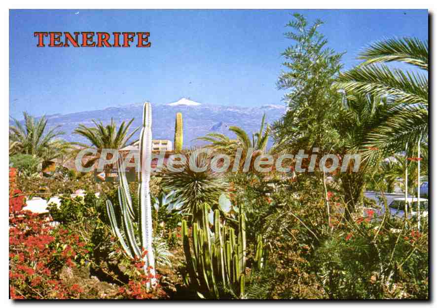 Costa del Silencio — Tenerife — éditeur Perla & Producción Prohibida