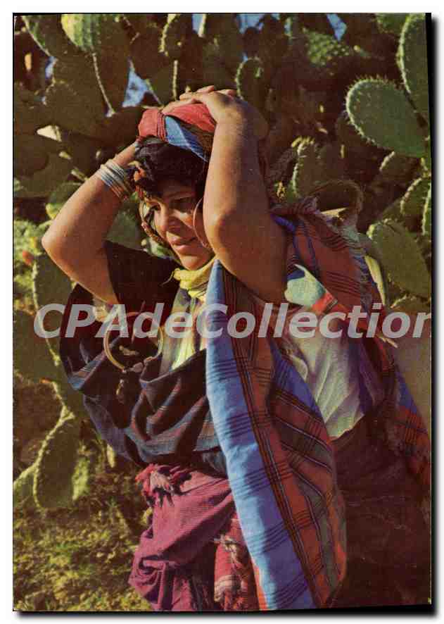 CPSM Bedouine Tunisienne Tunisia