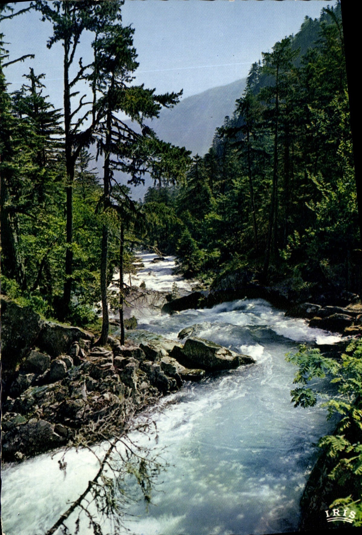 Gave Pyrénée — vue de la rivière en forêt — Éditions Limoges