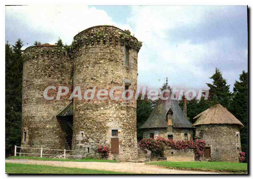 CPSM Pompadour Correze Jumenterie du Domaine de la Riviere 