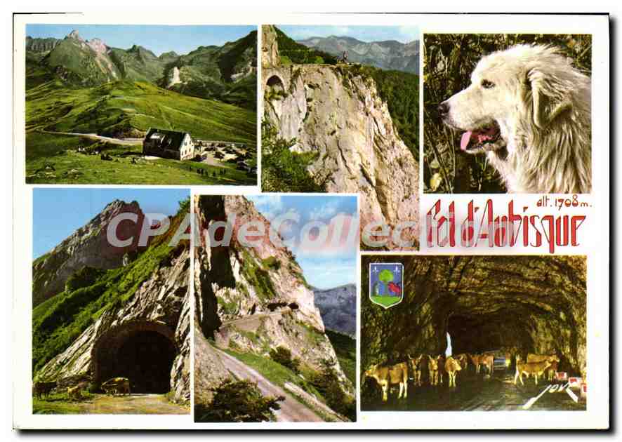 CPSM Souvenir du Col d'Aubisque 