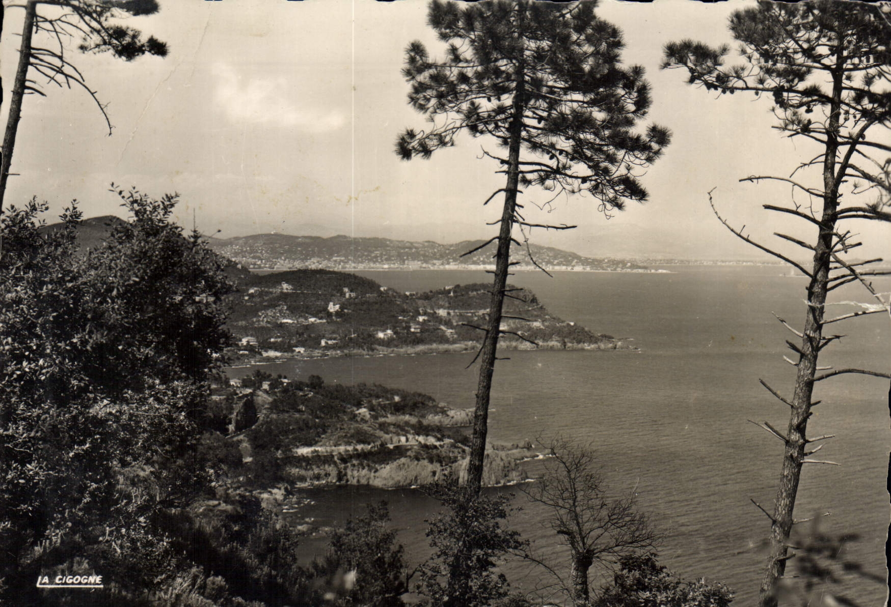 The Stork — panoramic view of the sea — publisher The Stork, series 831