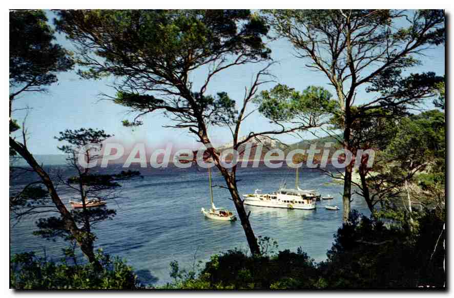 CPSM Refletes de la Cote D'Azur Pinedes et Calanques 