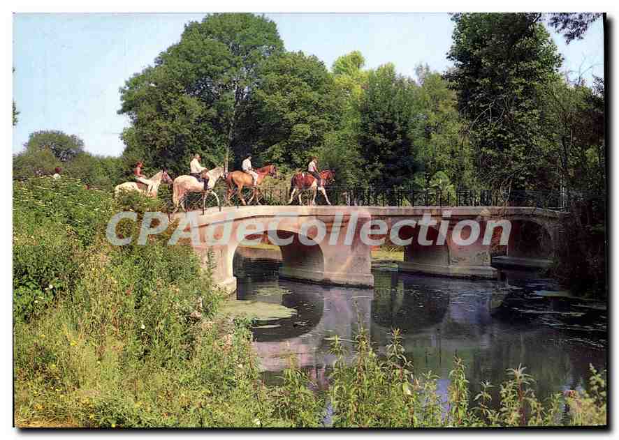 CPSM Jarnac Charente Le Pont des Soupirs vieux Pont romain 