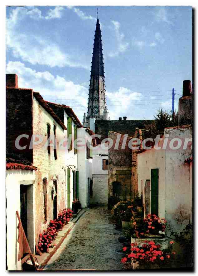 Ars-en-Ré — Une rue fleurie — Héliocase