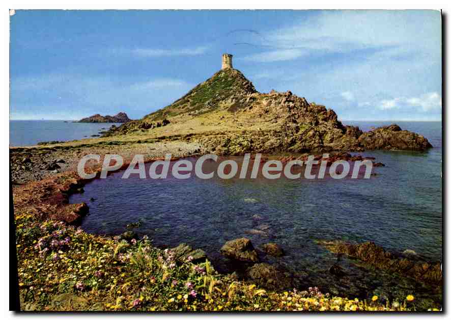 Iles Sanguinaires — La Tour — Éd. A. Rion, 06000 Nice