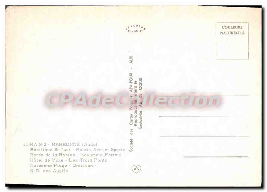 CPSM Narbonne Aude Basilique St Just Palais Arts et Sportte Bords de la Robino — Reverso