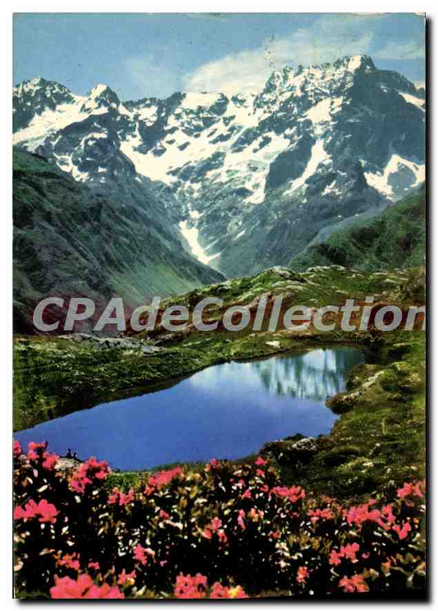CPSM Les Alpes Pittoresques Le printemps en haute altitude Le Lac du Lauzon