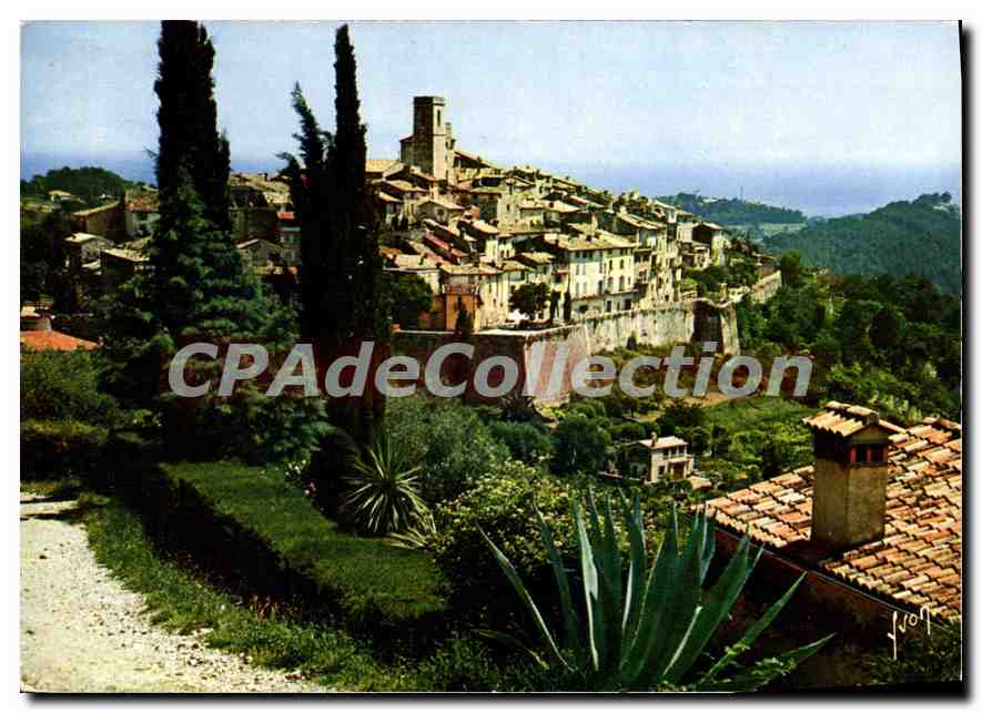 CPSM Couleurs et Lumiere de France La Cote d'Azur miracle de la nature Saint Paul Alpes Maritimes Vu