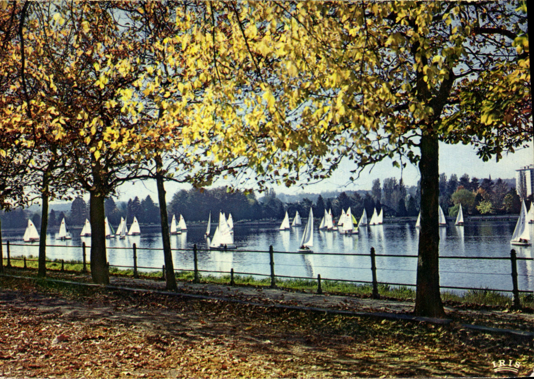 CPSM Vichy Allier Vacances loisirs detente regates sur le lac d'Allier