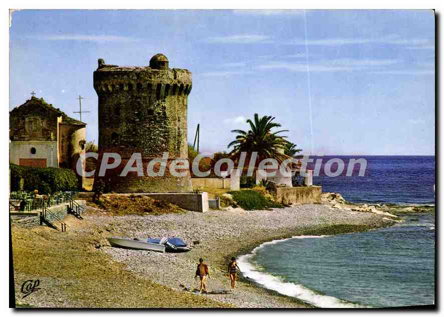 CPSM Ile de Beaute La Corse cap corse Miomo La Tour Genoise 