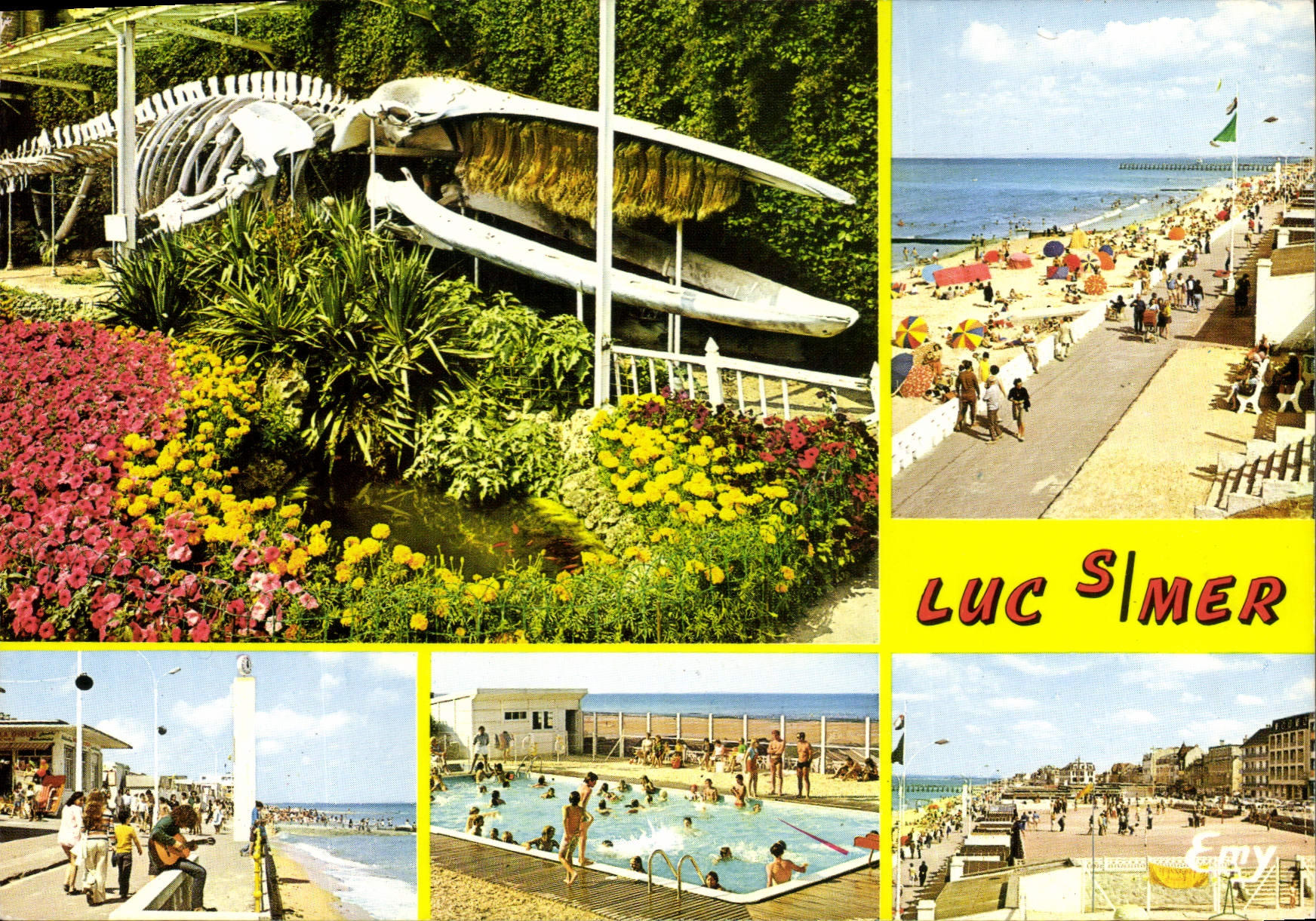 Halbmoderne Ansichtskarte Luc sur Mer Calvados der städtische Park und das Skelett des strandenden Wals in Luc im Januar 1