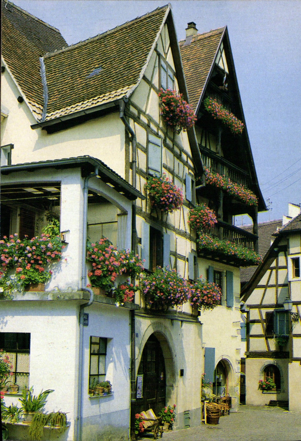Eguisheim — rue pavée avec maisons à colombages fleuries — HANSI, n° 68.078.87.06