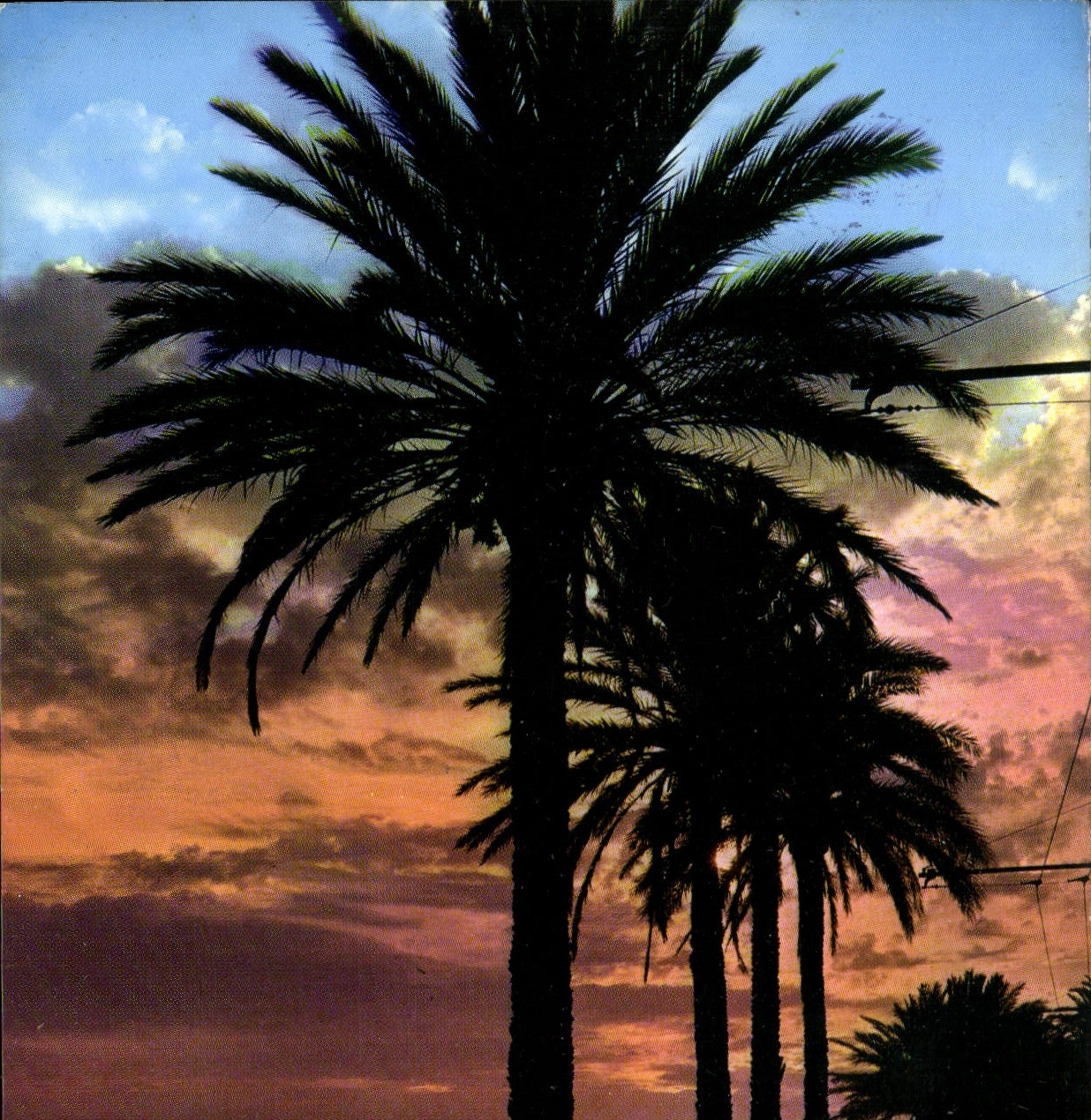 Coucher de Soleil sur le Mourillon — La Côte d'Azur — éditions de la République Française