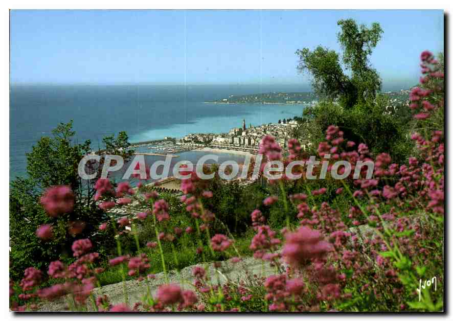 Menton — Vue générale sur le Port et la Vieille Ville — Éditions d'art Yvon