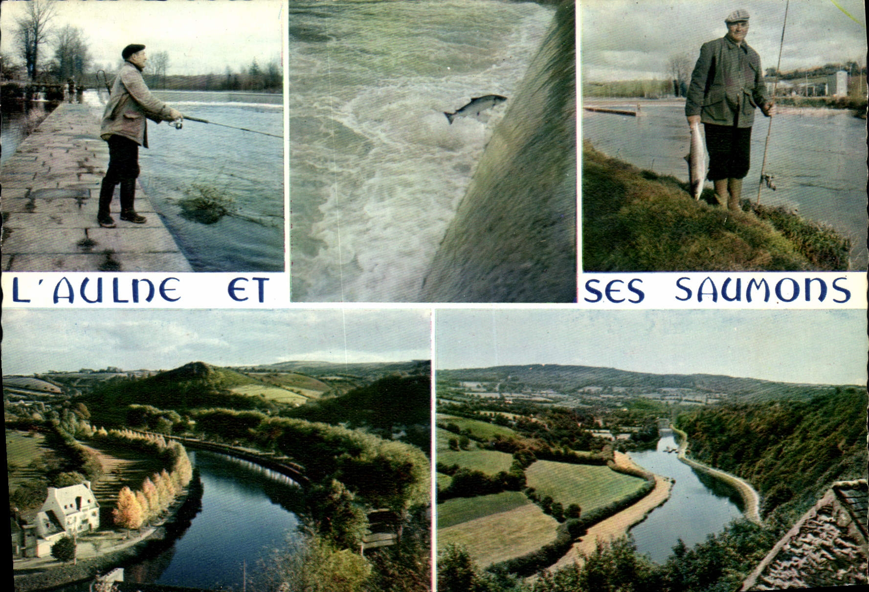 CPSM La Bretagne en couleurs l'Aulne et ses saumons antre chateaulin et chateauneuf du Faou 