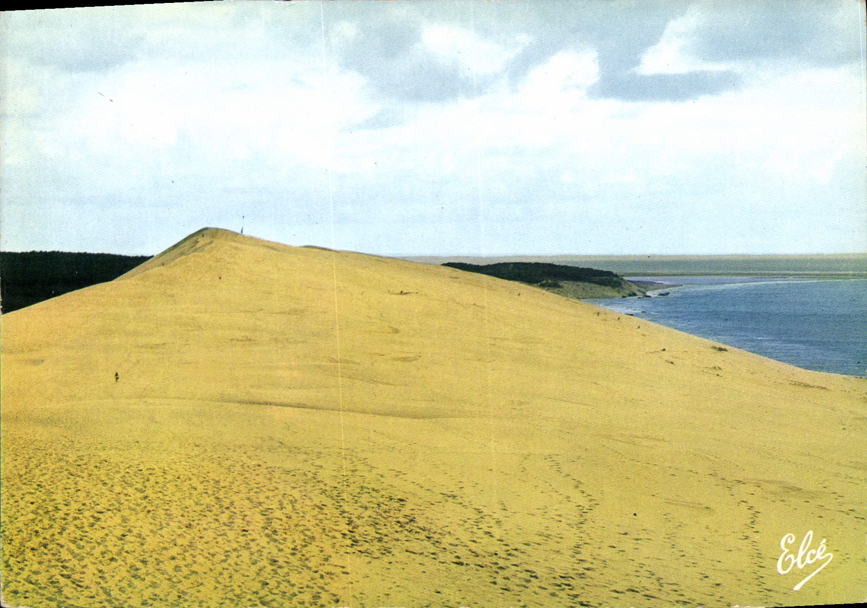 Dune du Pyla — sommet de la plus haute dune d'Europe — Éditeur Mickor, série N 242