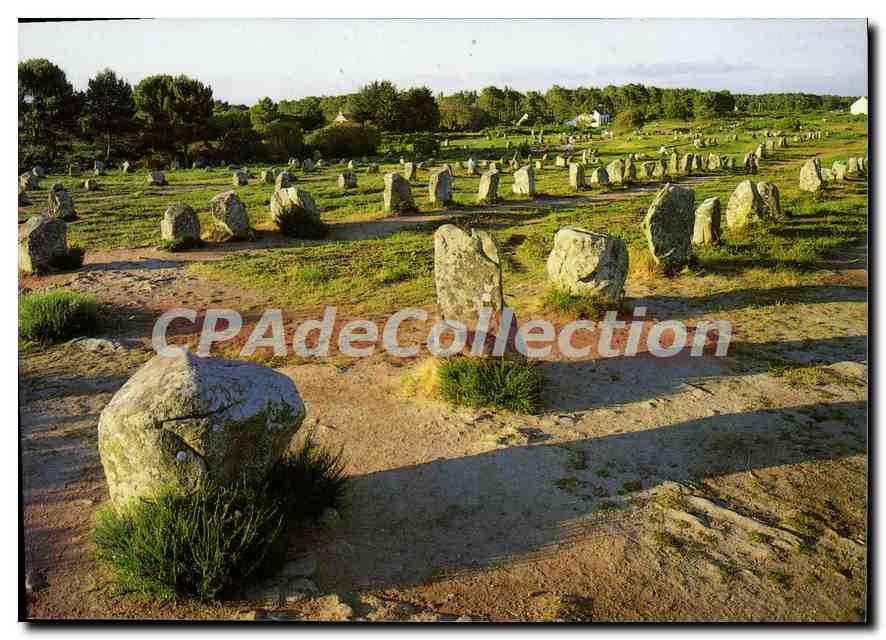 Les alignements du Menec — Carnac (Morbihan) — Éditions d'Art S. Le Darré & Chatain