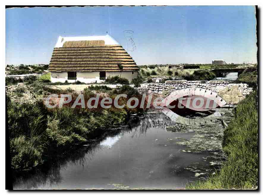 Paysage de Camargue et cabane de gardien — Éditions S.E.P.T. — N° 69-14