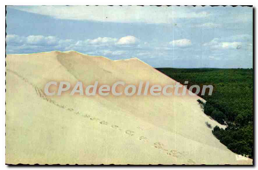 Bassin d'Arcachon — La Dune du Pilat — La plus haute dune d'Europe — Éditions Moderne, Théolac, Limoges