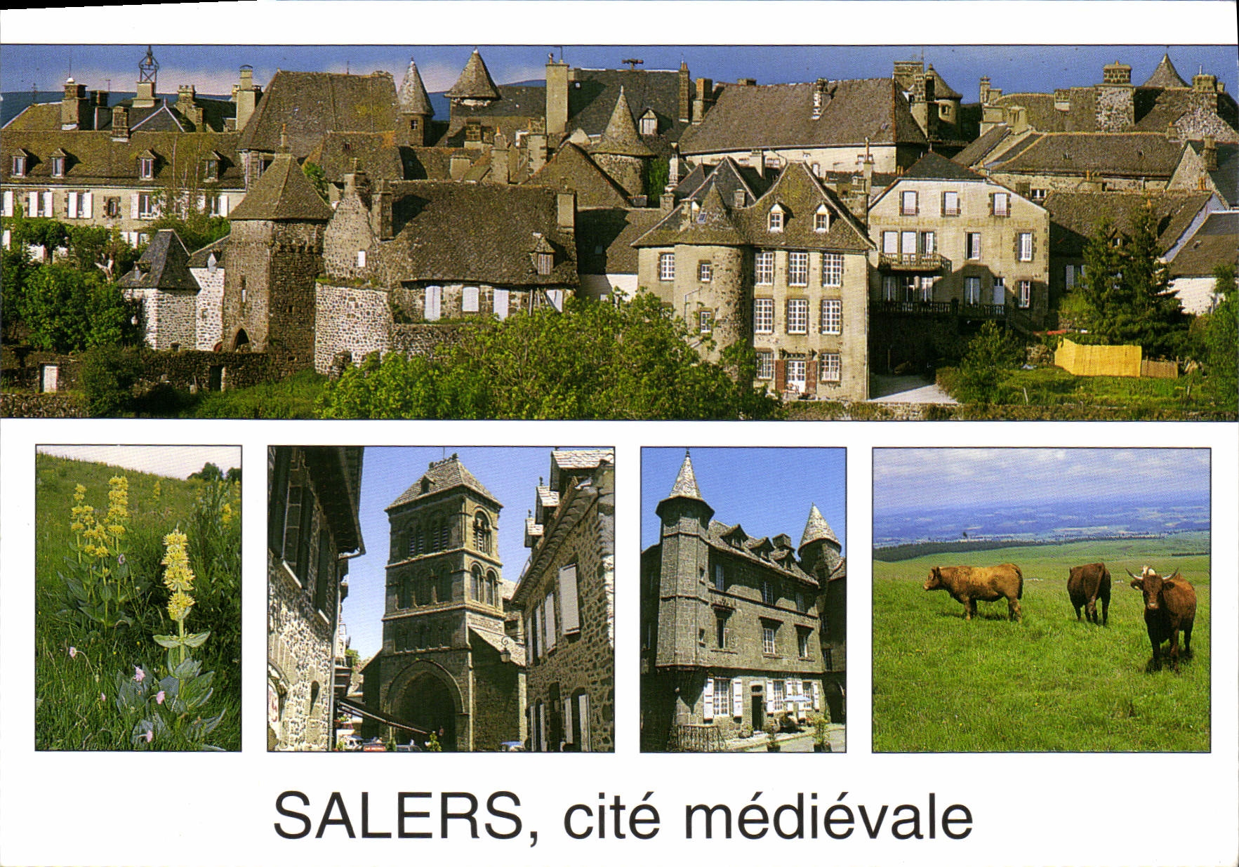 CPSM Salers Cantal Village de France Vue panoramique sur la cite moyenageuse La gentiane 