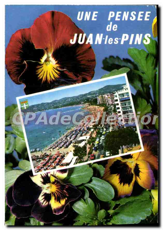 CPSM La Cote d'Azur Juan les Pins l'Avenue Guillaumont et la plage 