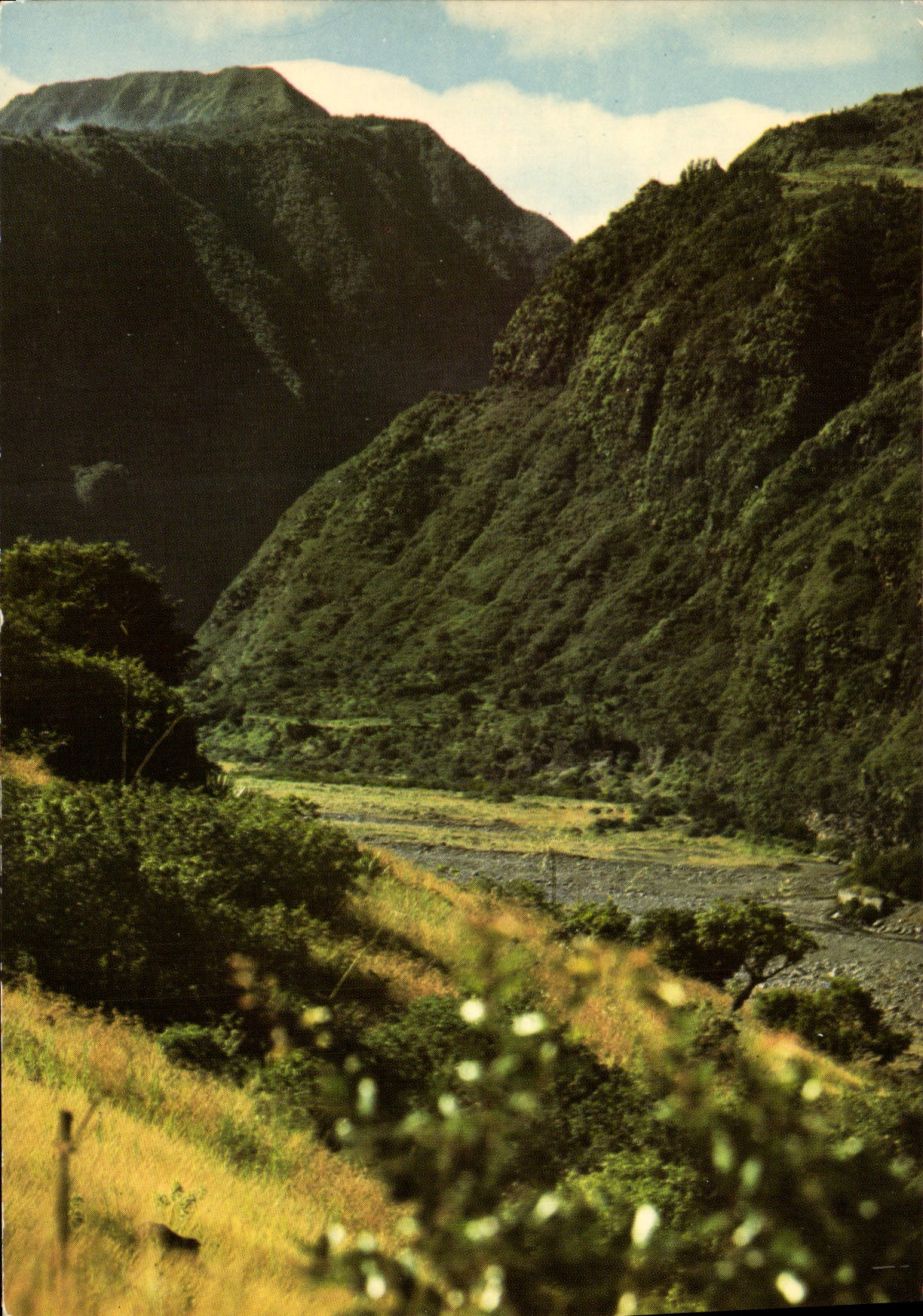 Fluss der Kiesel — Ansicht von Sainte-Thérèse — SOGEPRO (Christian Fontaine) - Réunion
